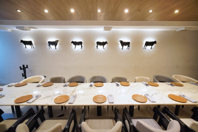 Salón Cava - Fotografía 2 - V de Vaca